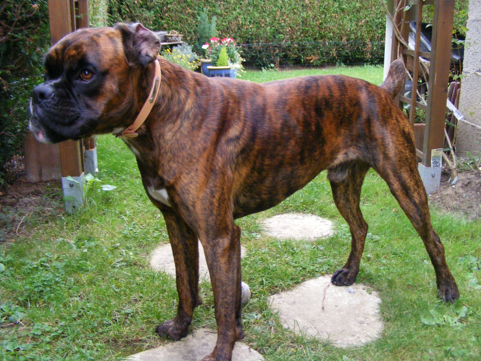 2- Driver enfin arrivé à la maison