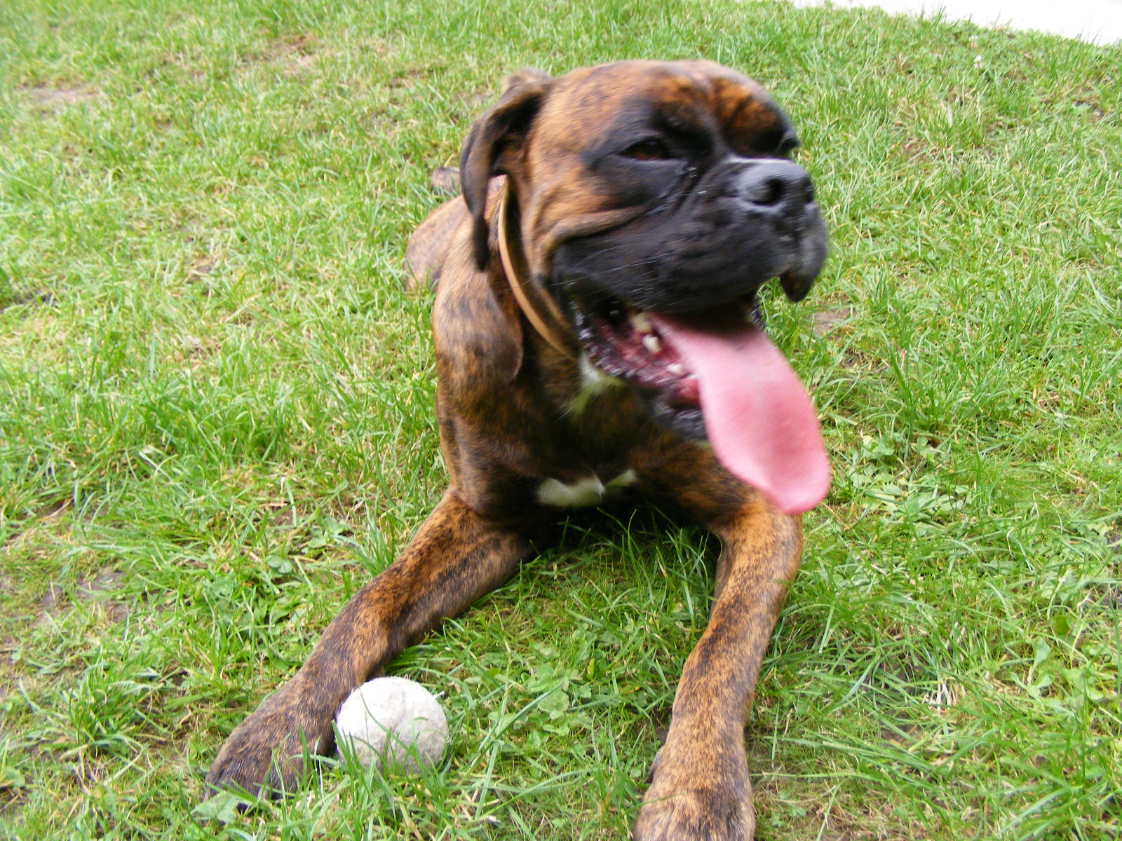 3- Driver son premier jour