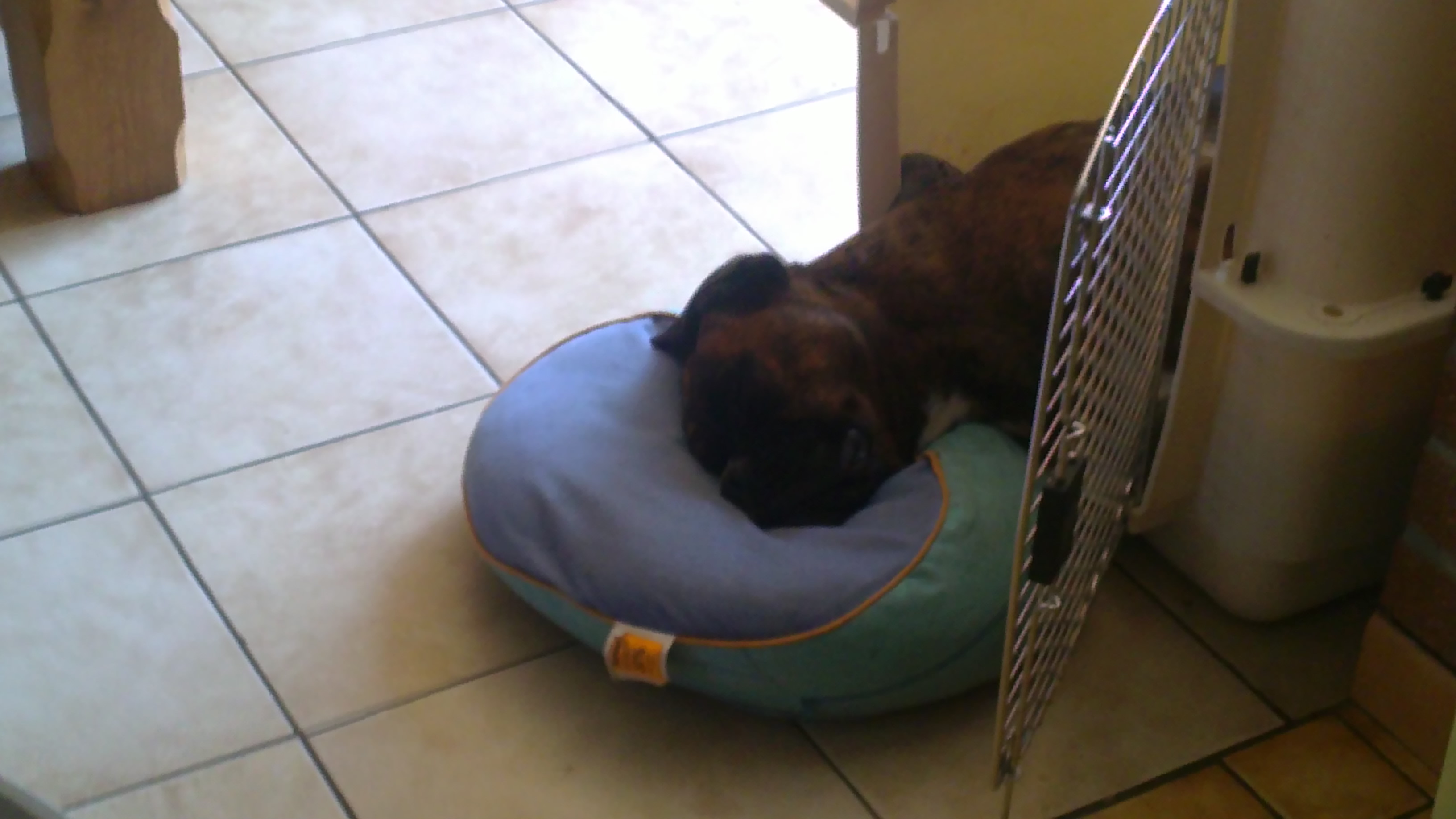 8- Driver, position 2 pour dormir