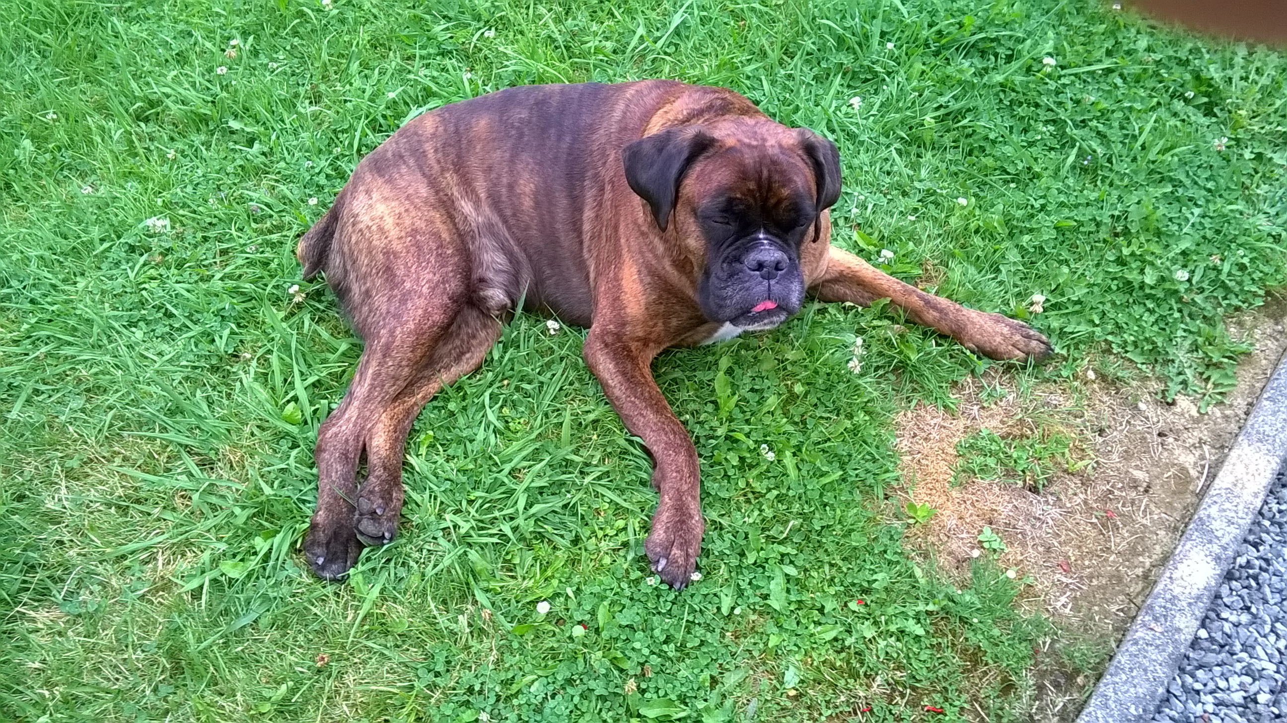 16- Driver fait une pause