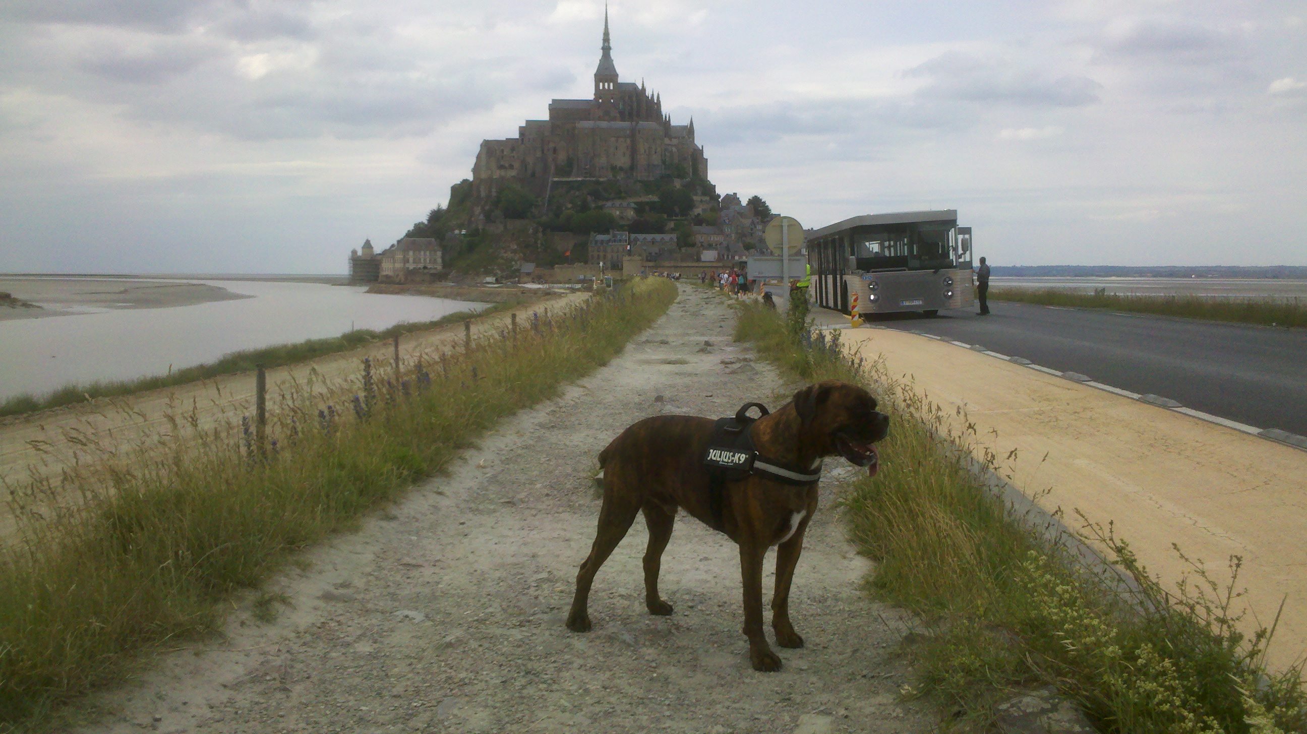 15- Driver face au Mont St-Michel
