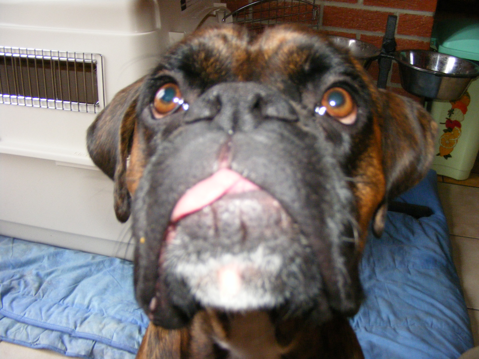 4- Driver, 1ère photo insolite