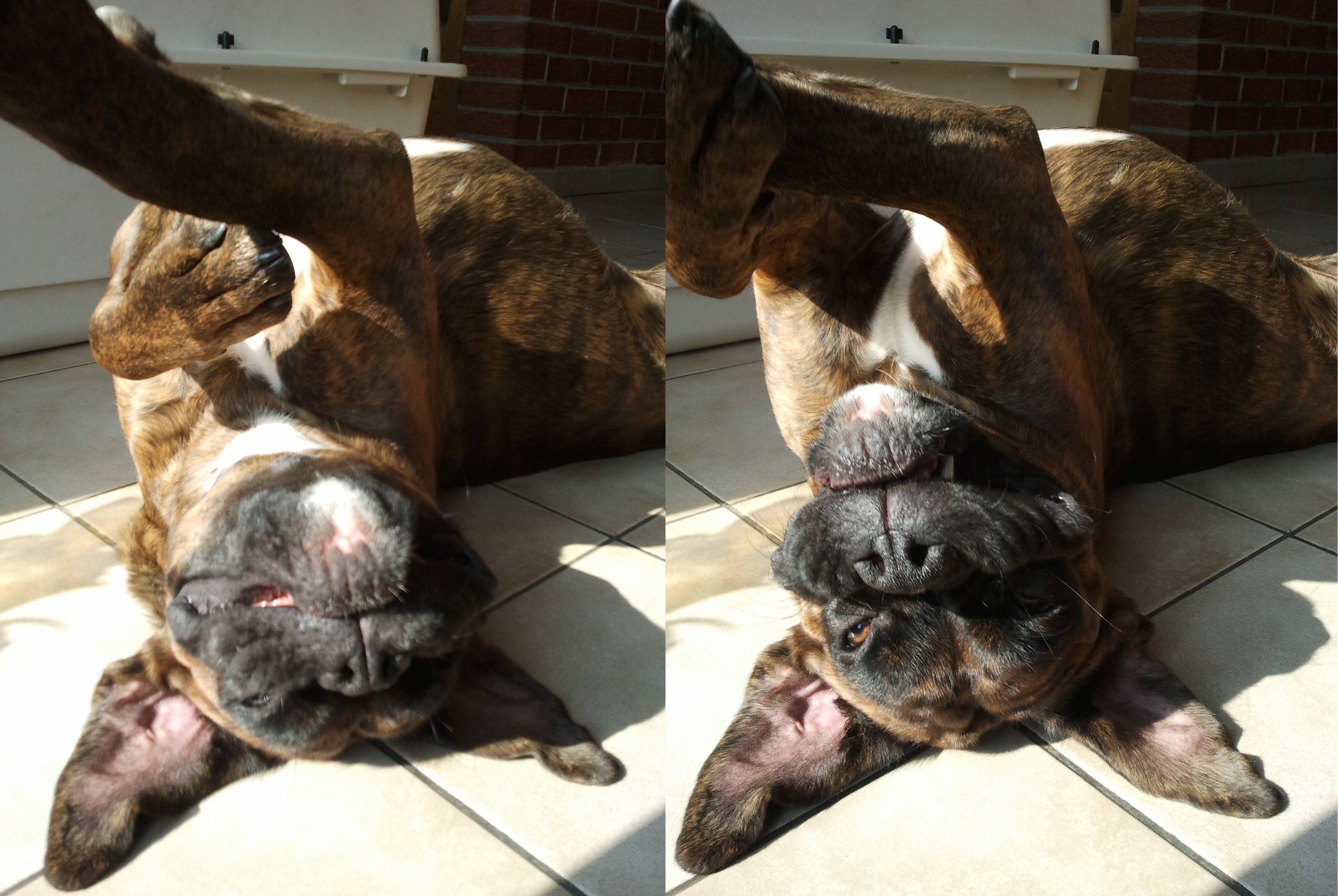 5- Driver, 2ème photo insolite