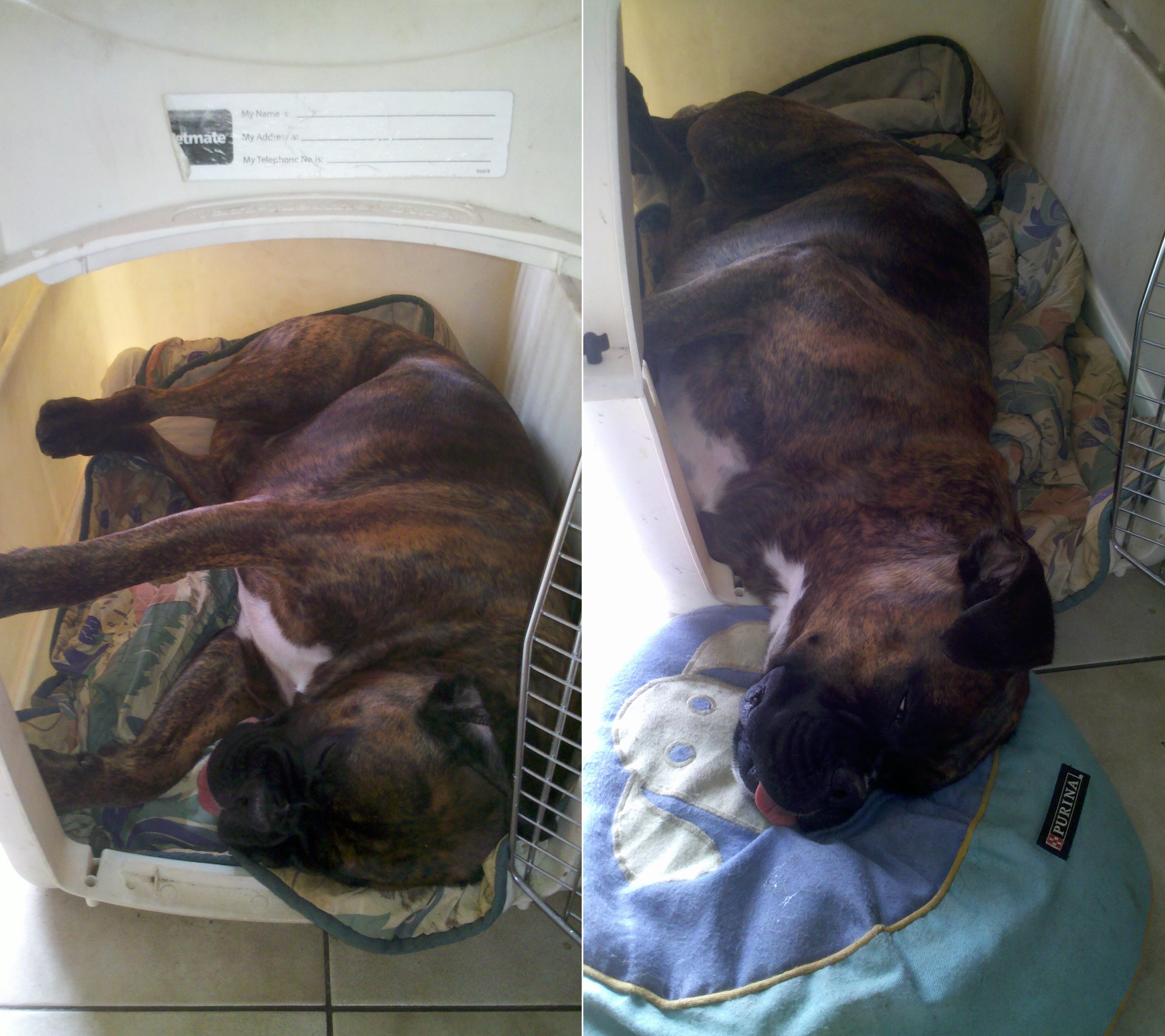 10- Driver, position 3 pour dormir