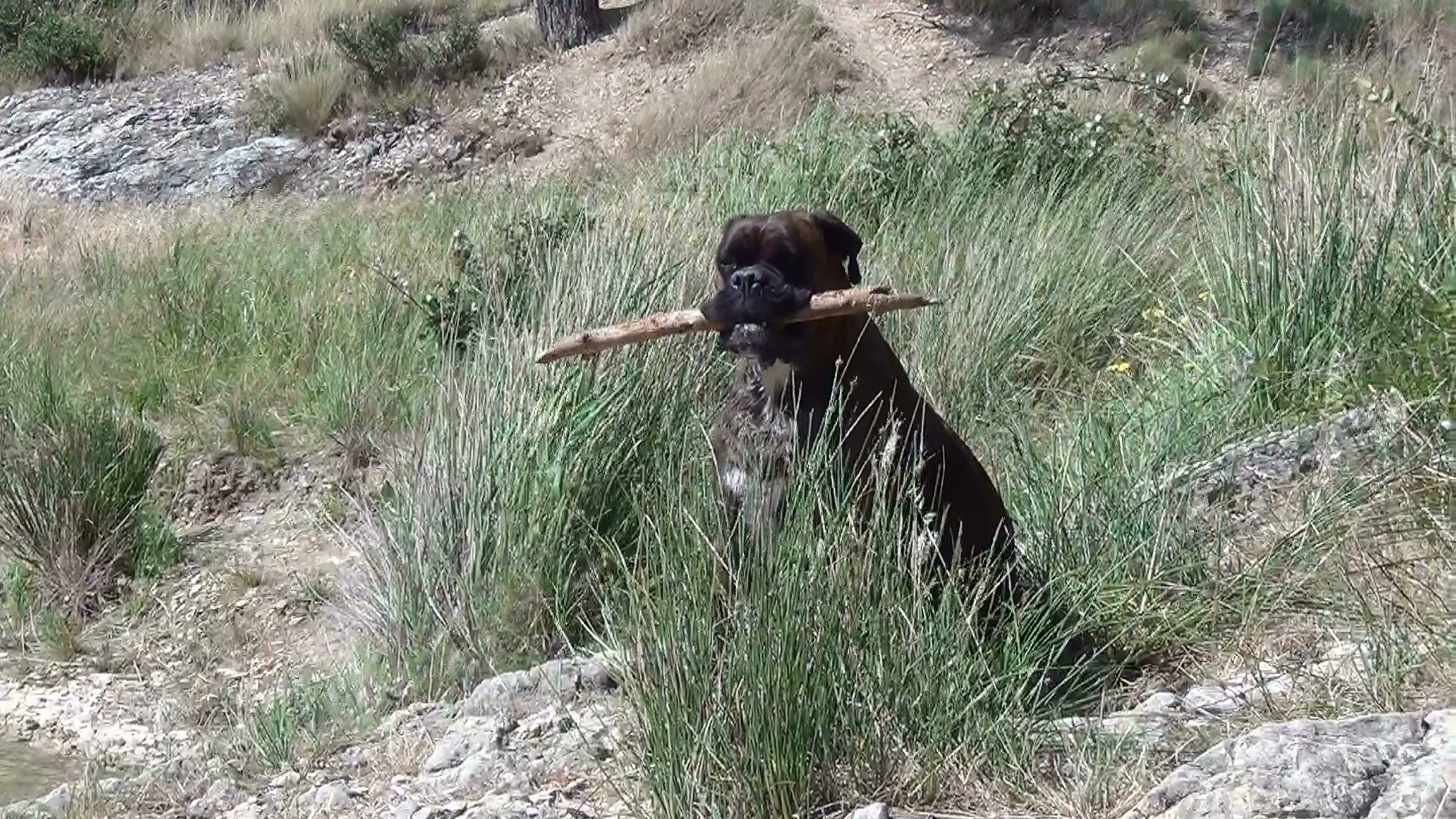 11- Driver en Provence