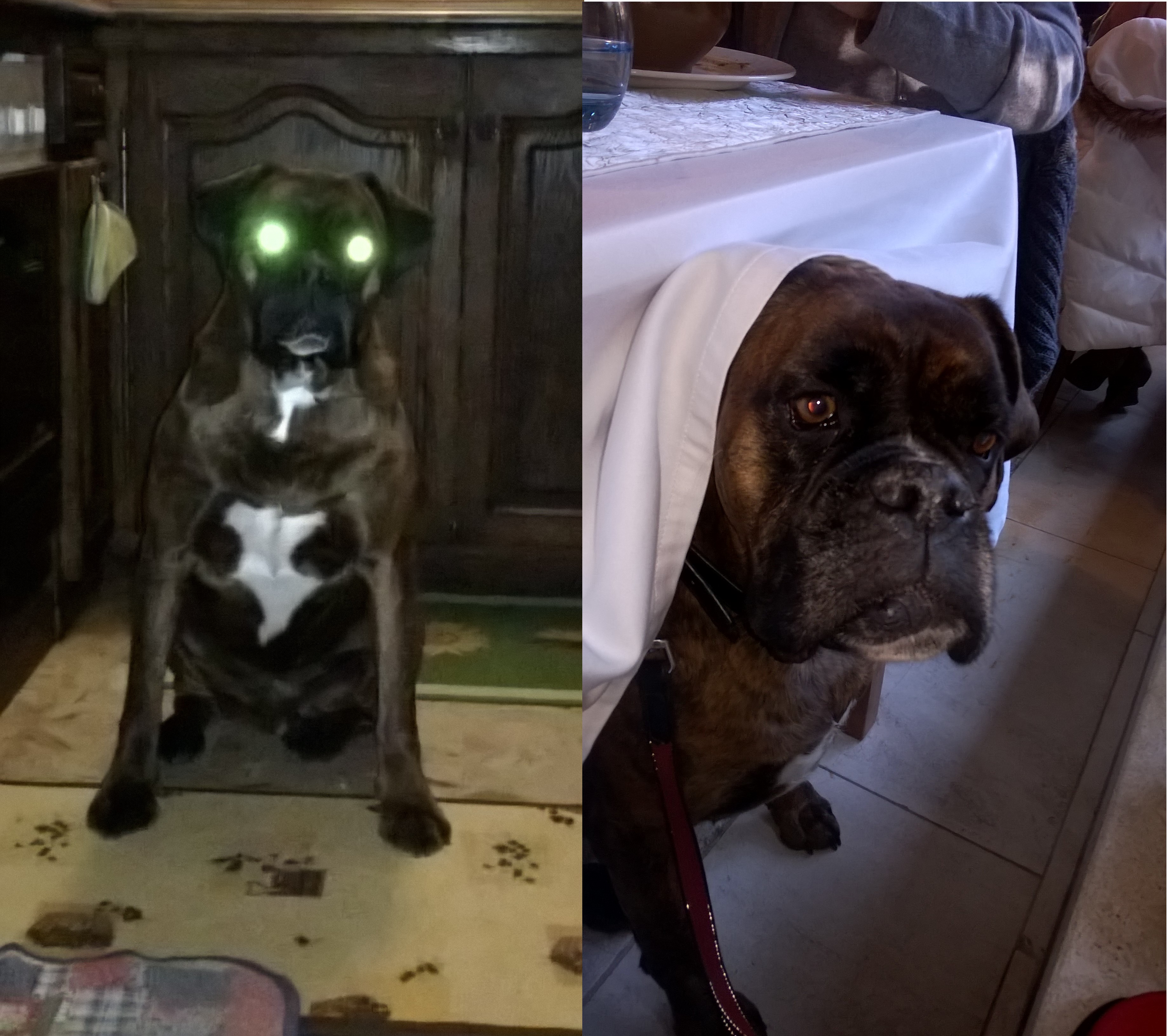 9- Driver, 3ème photo insolite