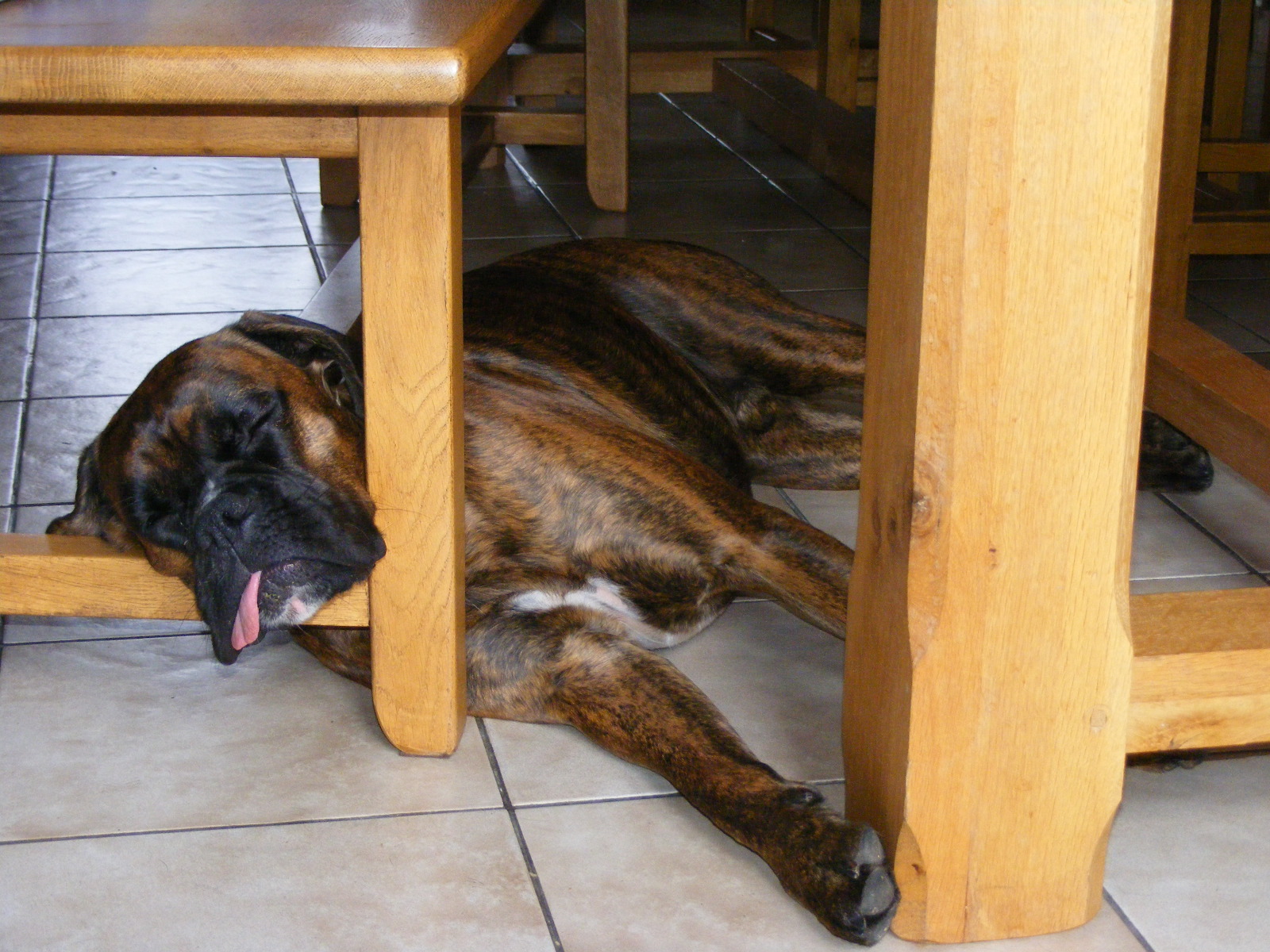 7- Driver, position 1 pour dormir