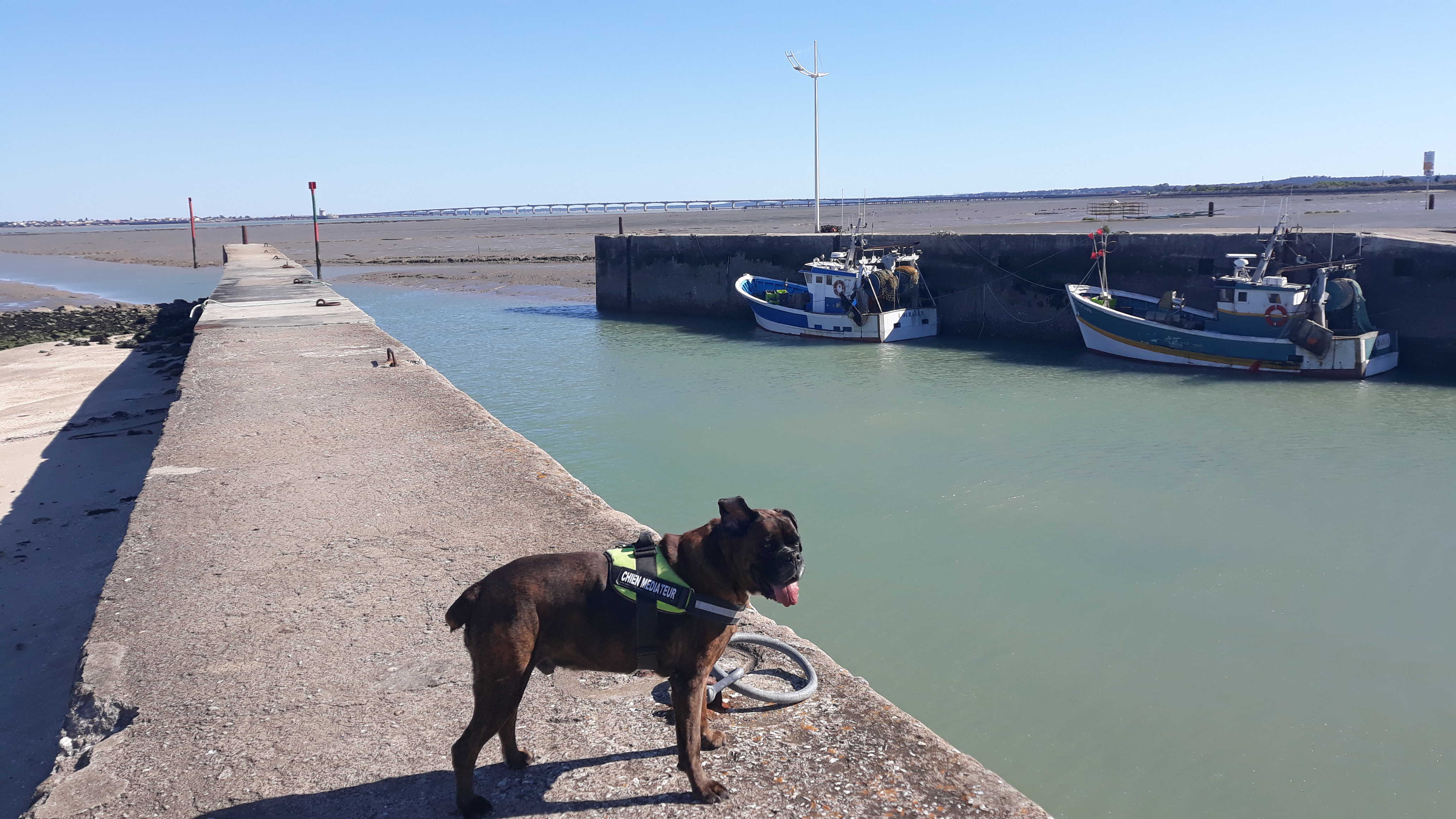 Driver sur un quai de port