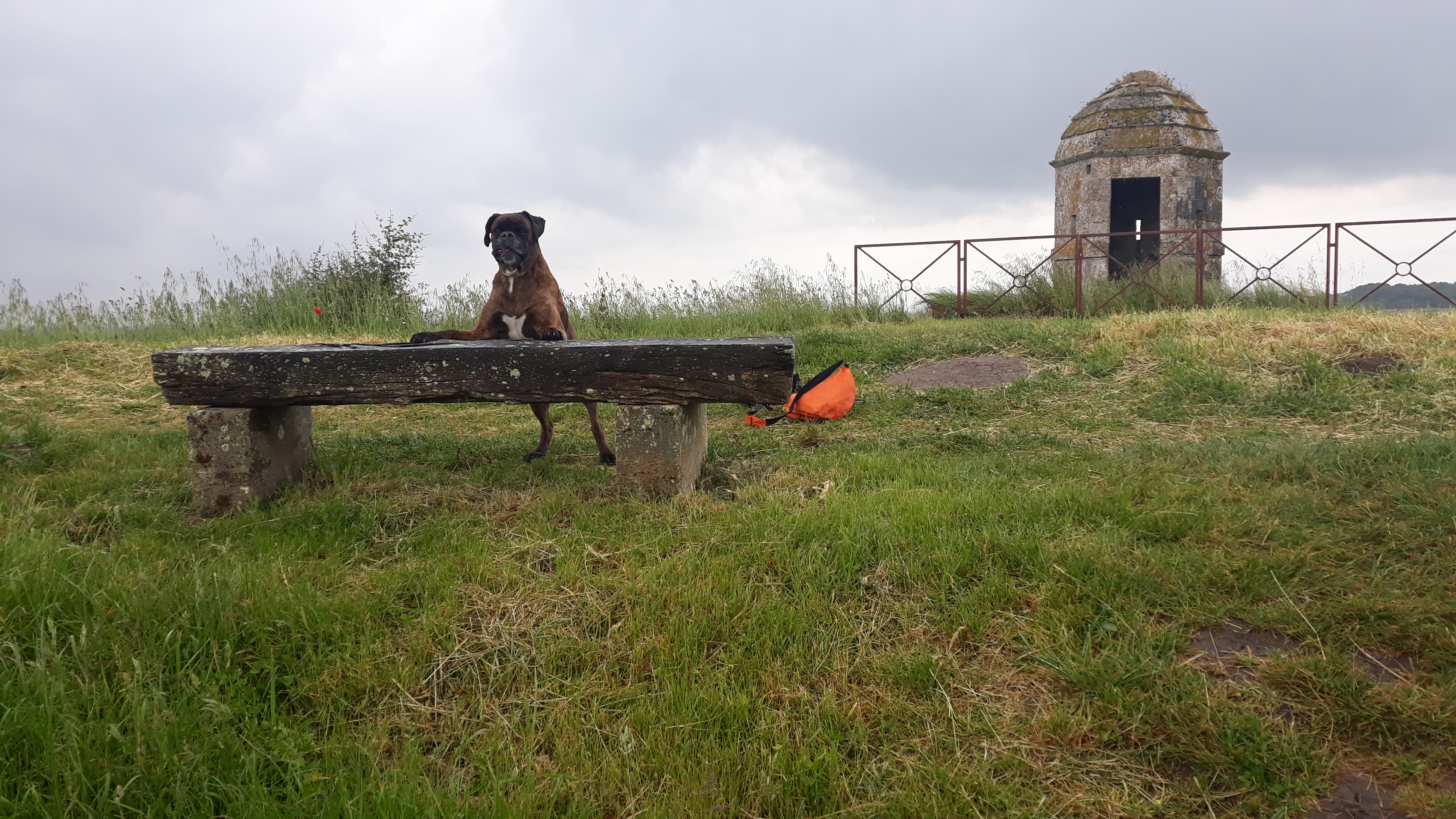 Driver en appui sur un rocher