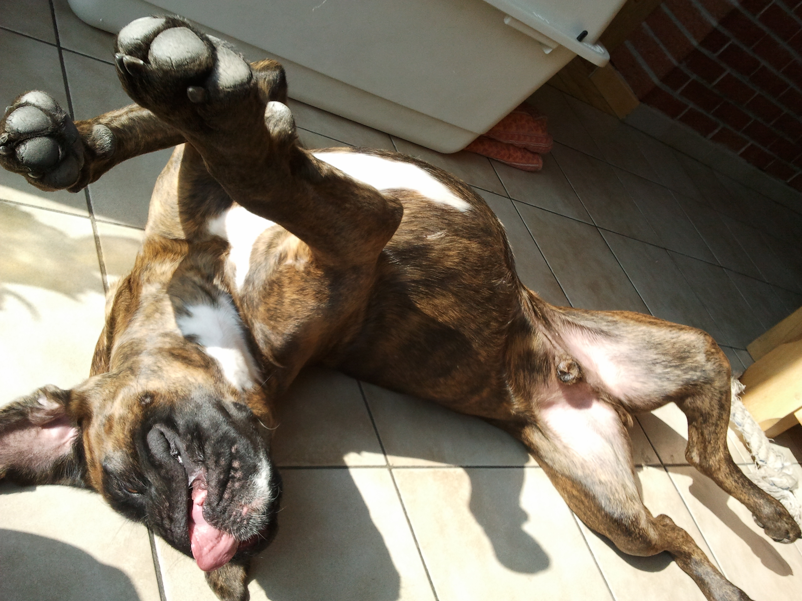 6- Driver profite des rayons du soleil