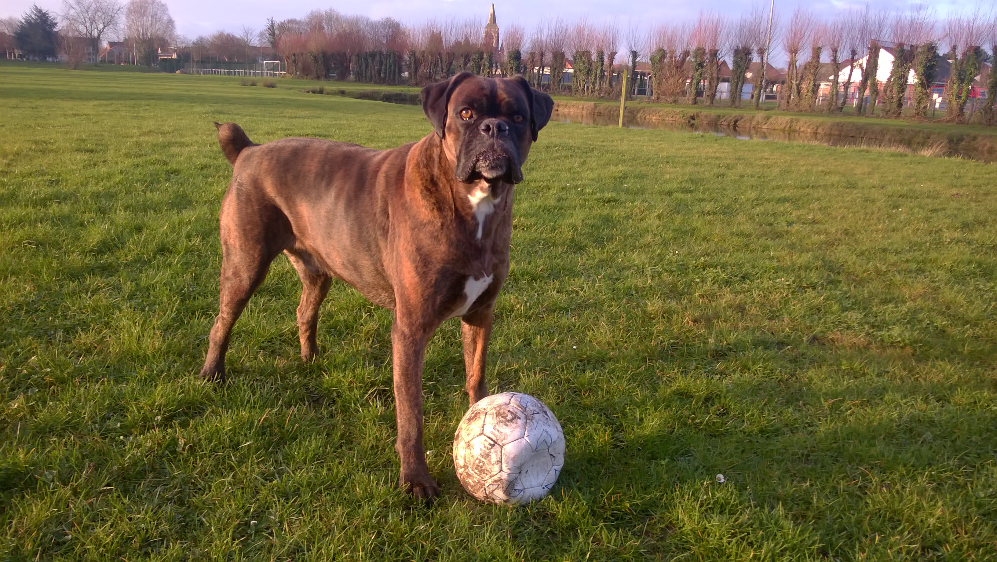 18- Driver et les jeux de ballon