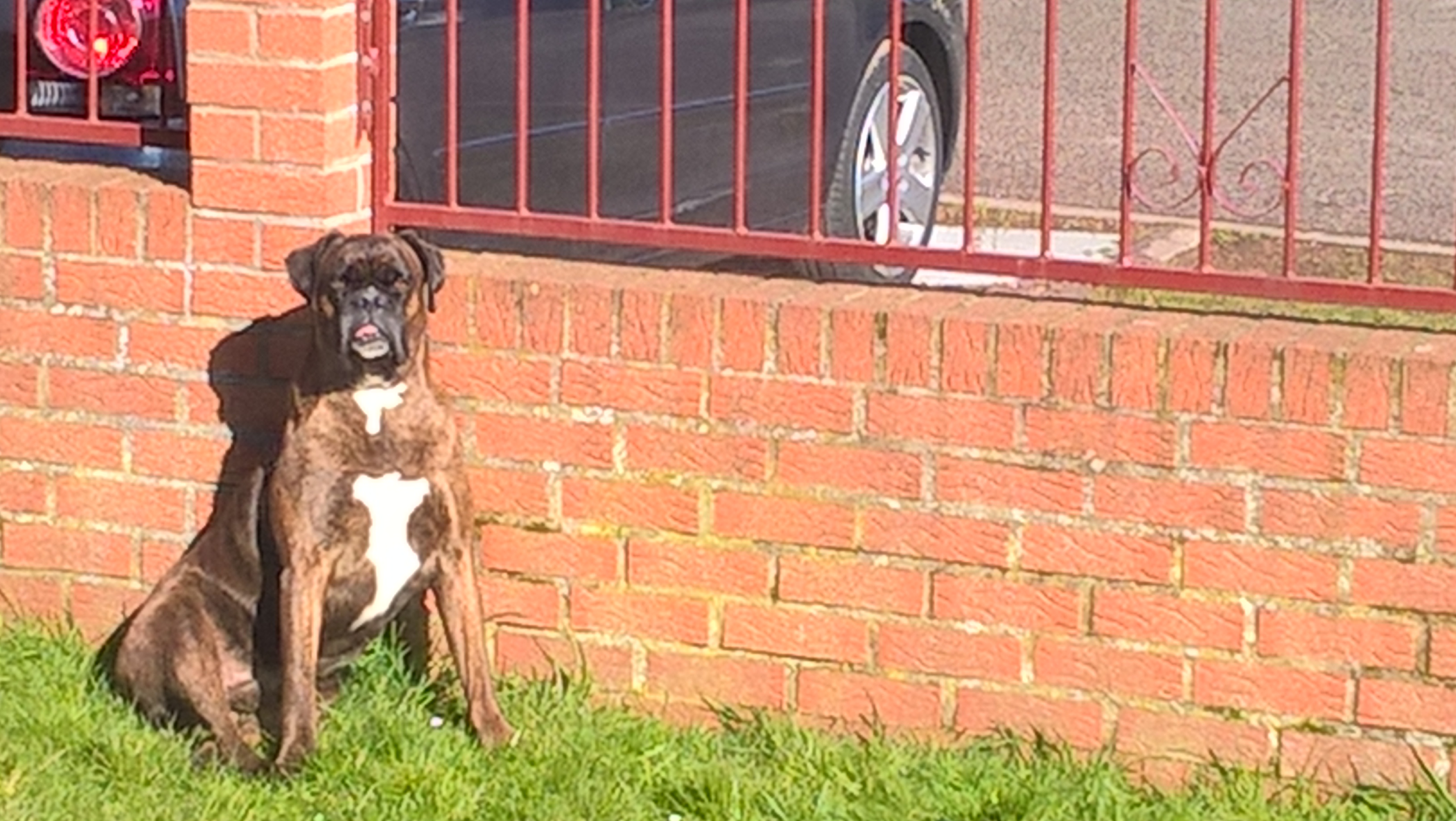 14- Driver profite du soleil de printemps