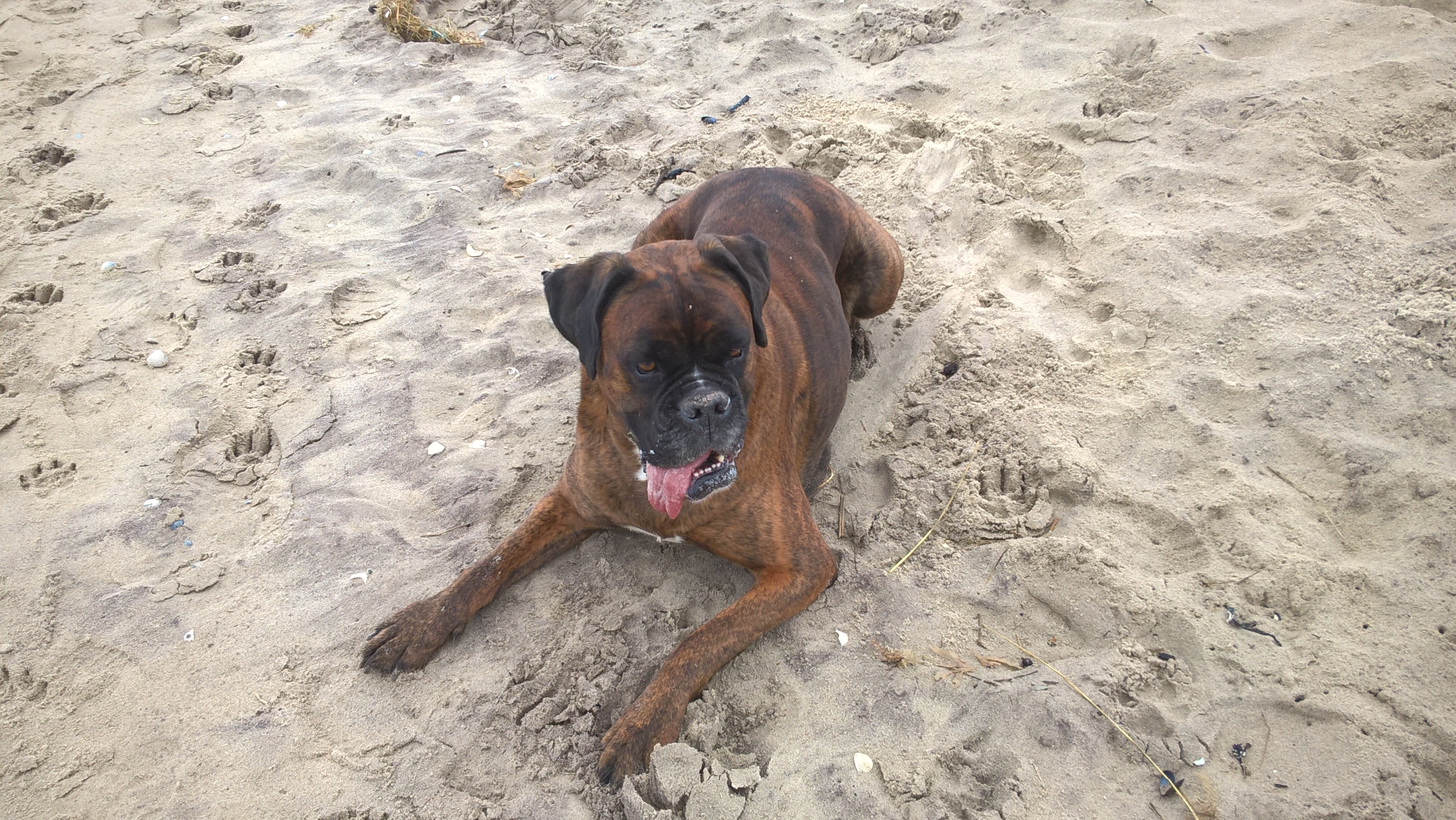 19- Driver sur la plage