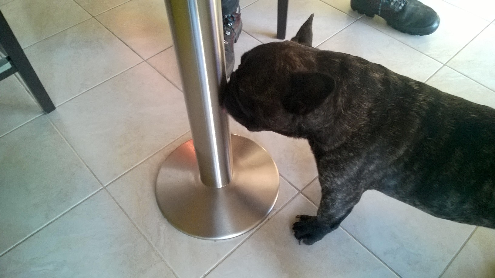 Léchage de pieds de table par Hercule