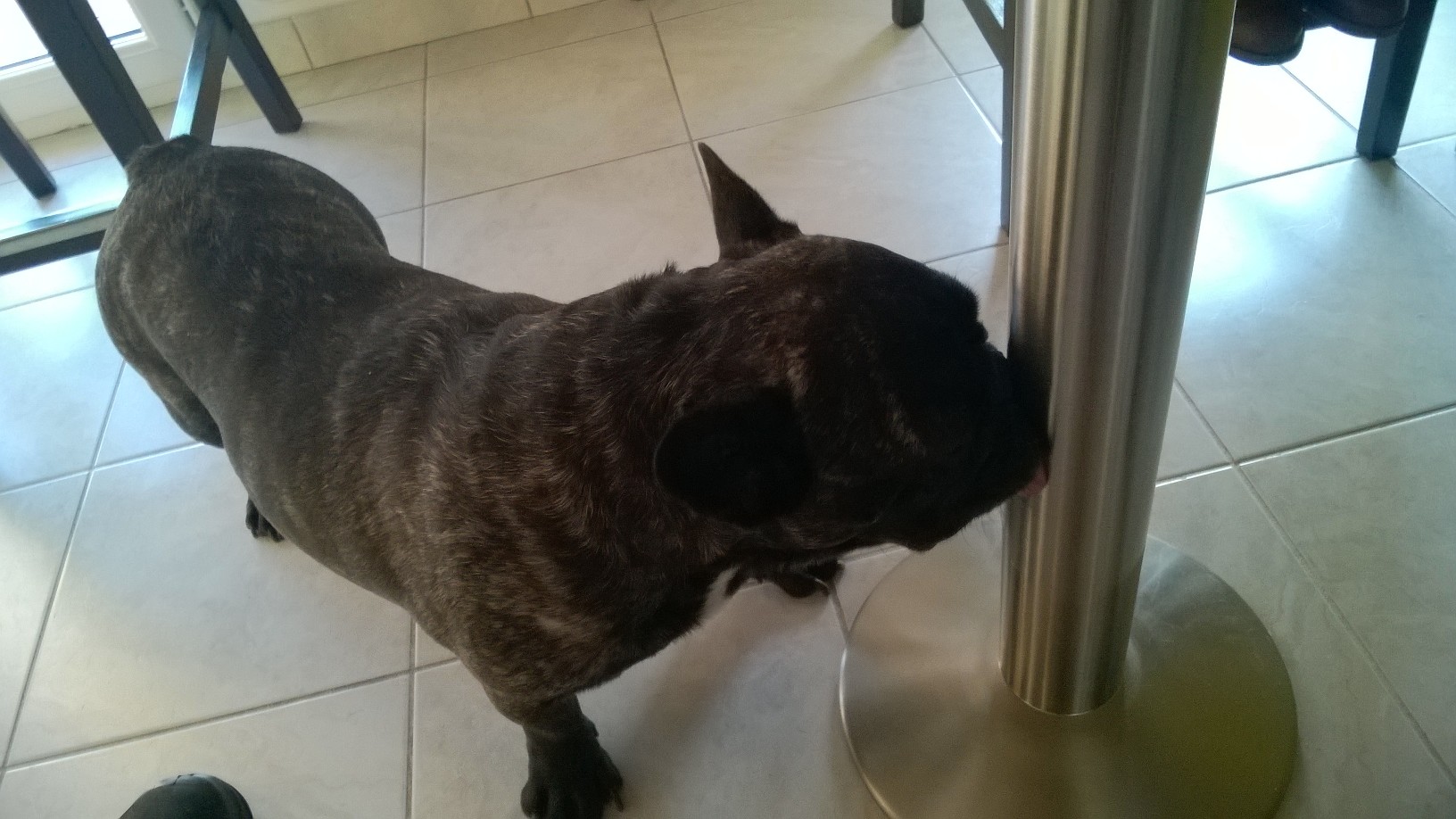 Léchage de pieds de table...